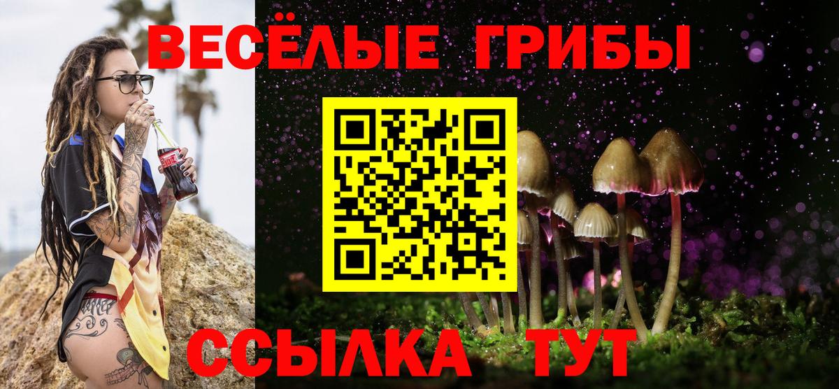 Псилоцибиновые грибы мухоморы  Вход с VPN  Заволжье  продажа наркотиков  Псилоцибиновые грибы Psilocybine cubensis 