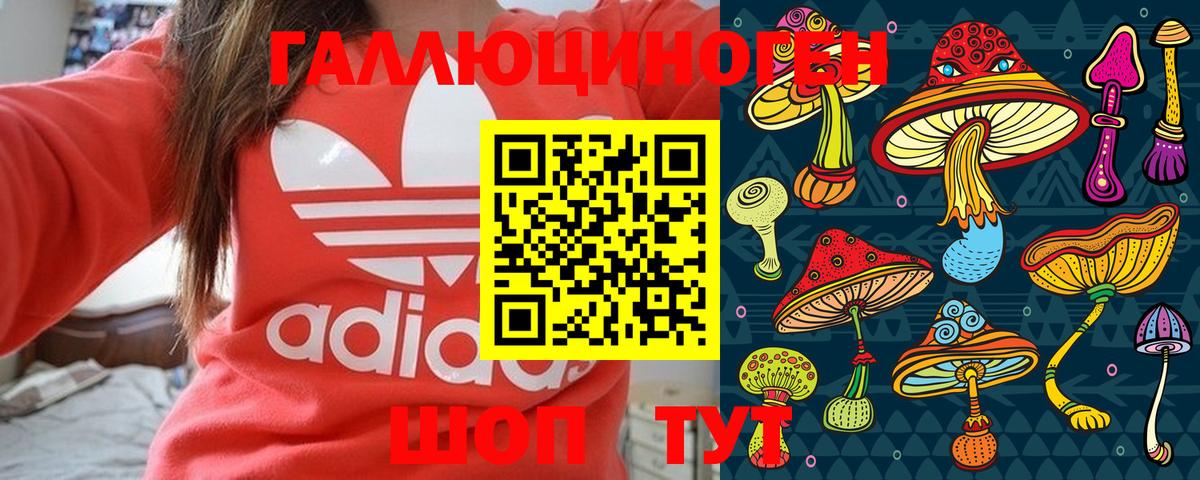 Псилоцибиновые грибы ЛСД Заволжье